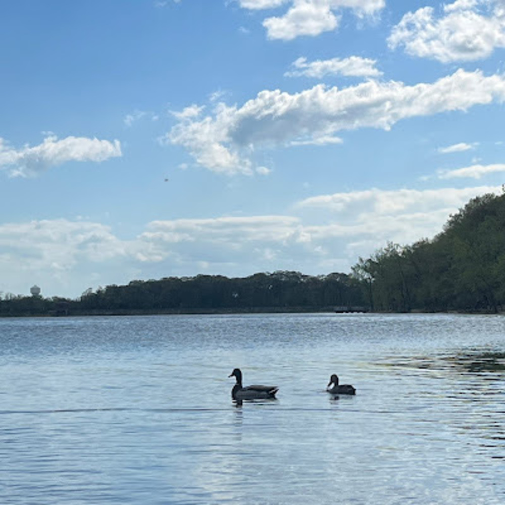 Meet your Posher, Shelsy